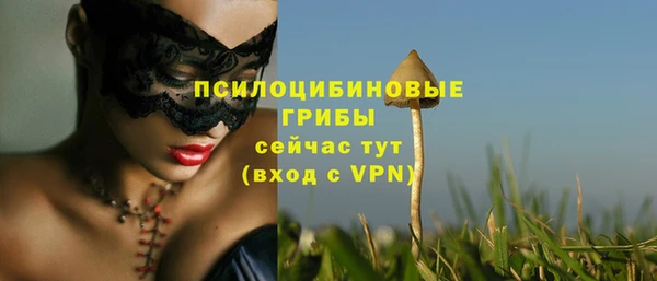 мдма Заволжск