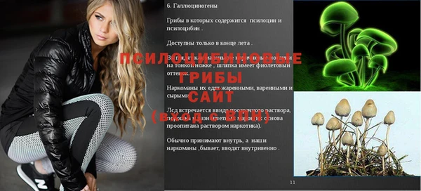 трава Заводоуковск