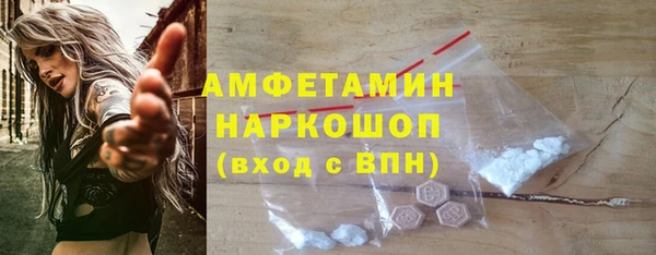 стафф Ельня