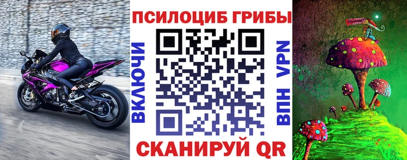 дарнет шоп  Светогорск  Псилоцибиновые грибы мухоморы 
